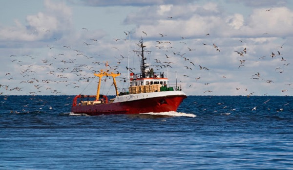 UGT pide que se atiendan las necesidades del sector pesquero, afectado por la crisis del COVID-19