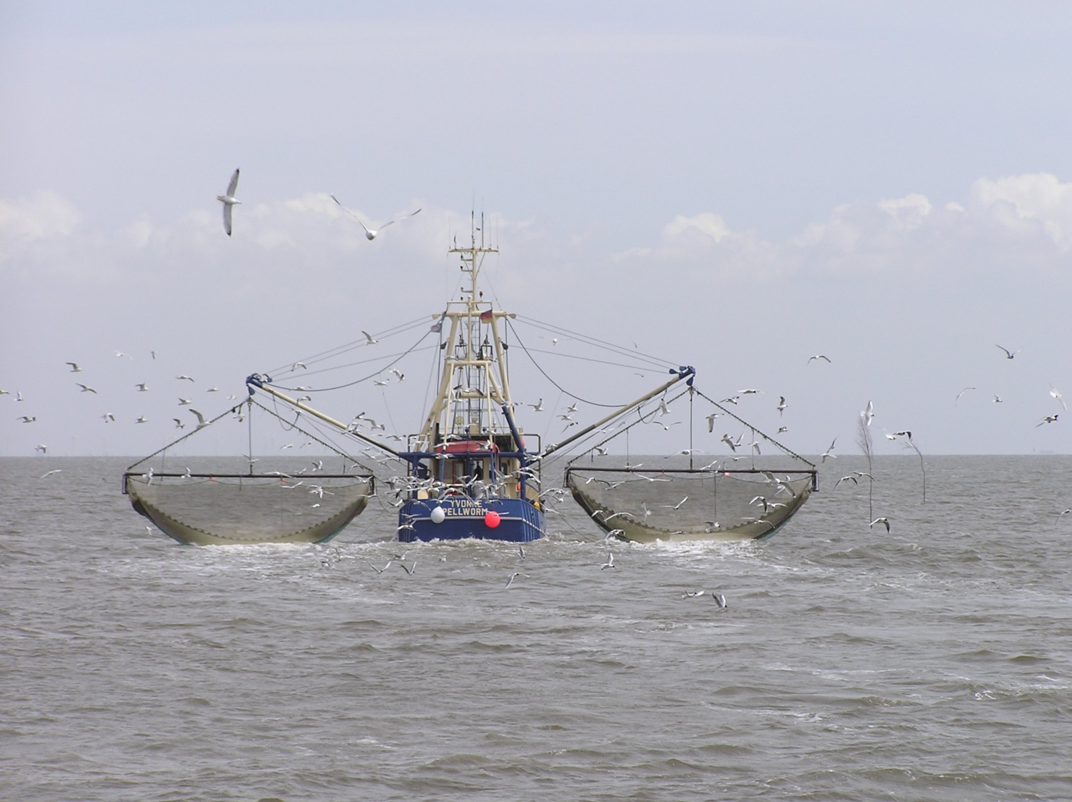 Albacora y UGT renuevan el convenio para tripulantes extracomunitarios del sector pesquero.
